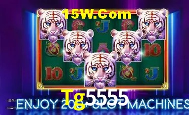 Estatísticas do Jogo Tg5555