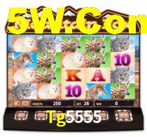Aviator Game Tg5555