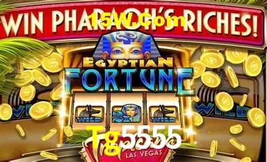 Estatísticas do Jogo Tg5555