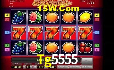 Login Seguro Tg5555
